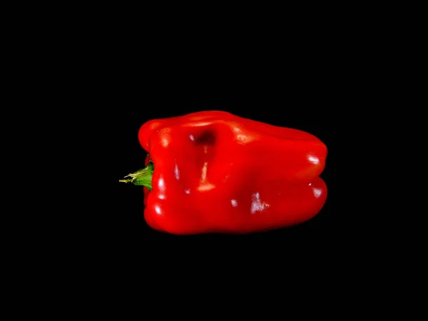 Paprika isoliert auf schwarzem Hintergrund — Stockfoto