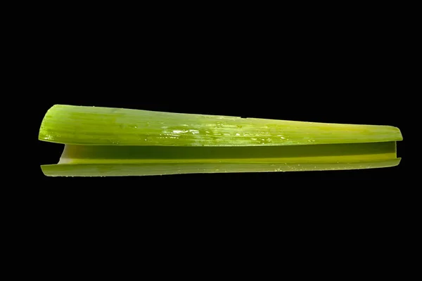 Cebola isolada sobre fundo branco — Fotografia de Stock