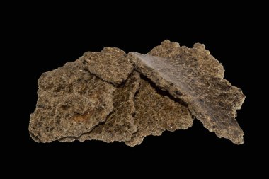 beyaz arkaplanda izole edilmiş sıkıştırılmış tohumlar