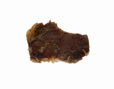 Beyaz arka plan üzerinde izole kemik