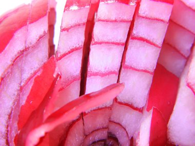 Beyaz arkaplanda soğan izole edildi