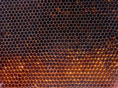 Koyu arkaplan olarak bal petekleri kuru