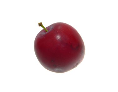 Beyaz arkaplanda erik izole edildi