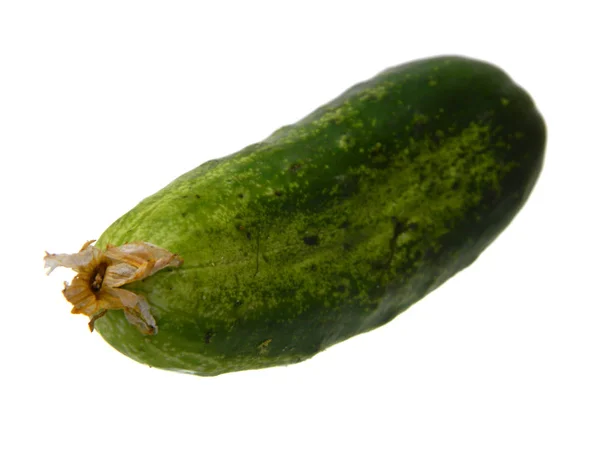 Cucumber isolated on white background — Stock Photo, Image