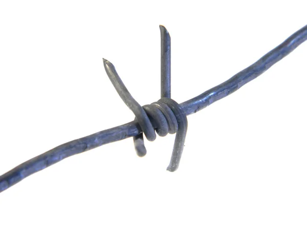 Dikenli tel beyaz arkaplanda izole edildi