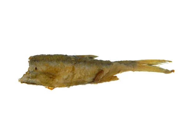 Smażone ryby wyizolowane na białym tle — Zdjęcie stockowe