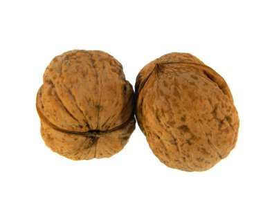 beyaz arkaplanda izole edilmiş ceviz