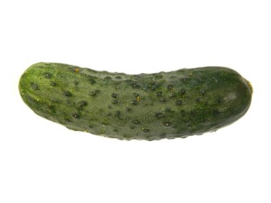 salatalık beyaz arkaplanda izole edildi