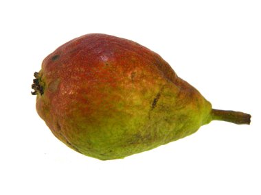 armut beyaz arkaplanda izole edildi