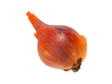 Beyaz arkaplanda soğan izole edildi