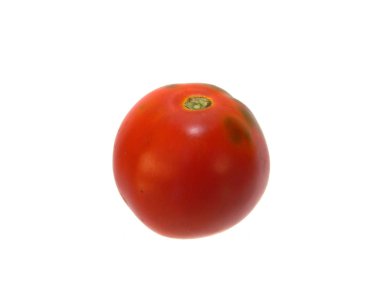 Beyaz arkaplanda izole edilmiş domates