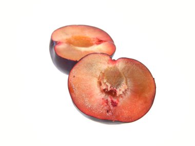 Beyaz arkaplanda erik izole edildi