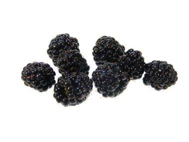 Blackberry beyaz arkaplanda izole edildi