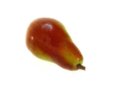 armut beyaz arkaplanda izole edildi