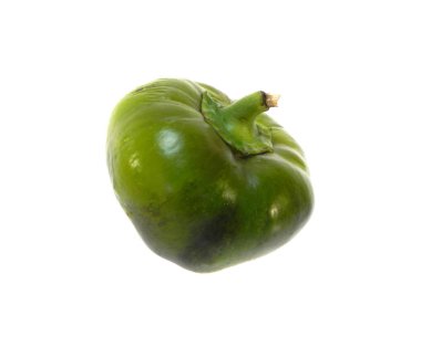 dolma biber beyaz arkaplanda izole edildi