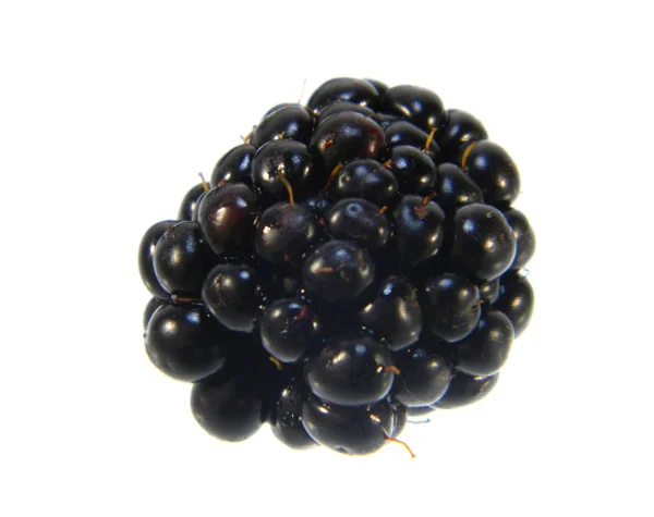 在白色背景上分离的黑莓 — 图库照片