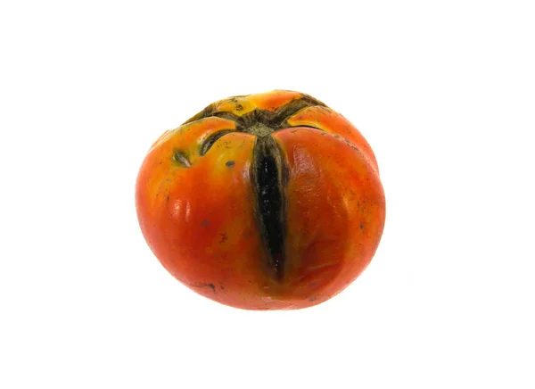 Tomate isoliert auf weißem Hintergrund — Stockfoto