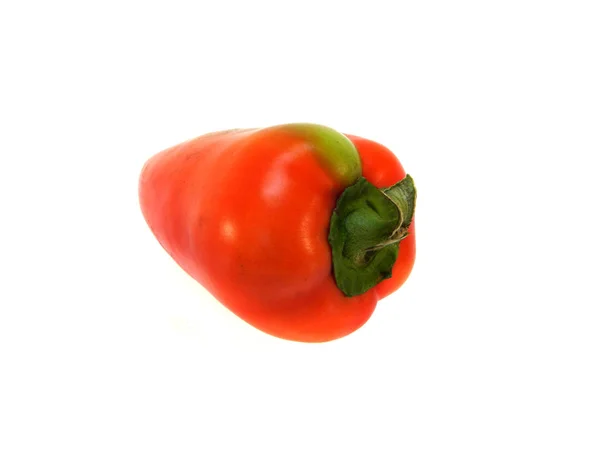 Paprika isoliert auf weißem Hintergrund — Stockfoto