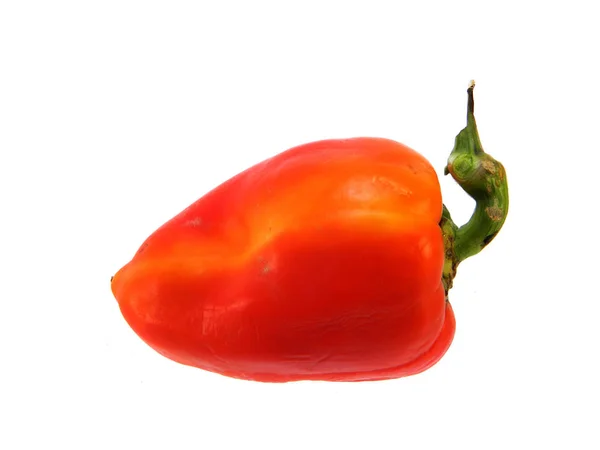 Paprika isoliert auf weißem Hintergrund — Stockfoto