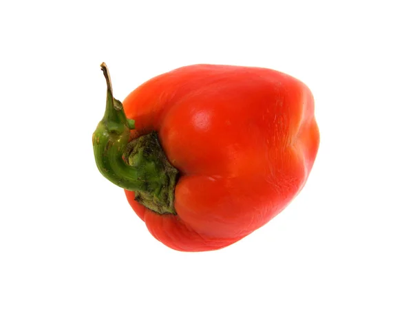 Paprika isoliert auf weißem Hintergrund — Stockfoto