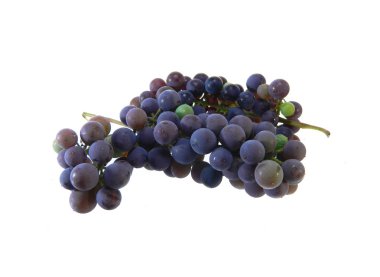 Üzüm Beyaz Arkaplanda İzole Edildi