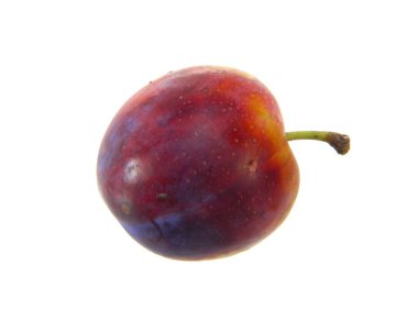 Beyaz arkaplanda erik izole edildi