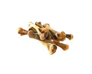 Beyaz arka plan üzerinde izole kemik