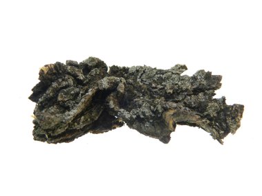 Beyaz arkaplanda ağaç kabuğu izole