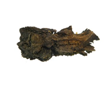 Beyaz arkaplanda ağaç kabuğu izole