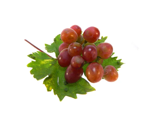 Grape isolated on white background — Stock Photo, Image