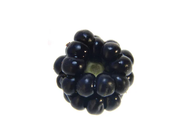 Blackberry isolated on white background — Stock Photo, Image