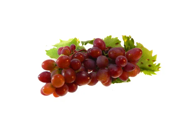 Winogrona izolowane na białym tle — Zdjęcie stockowe