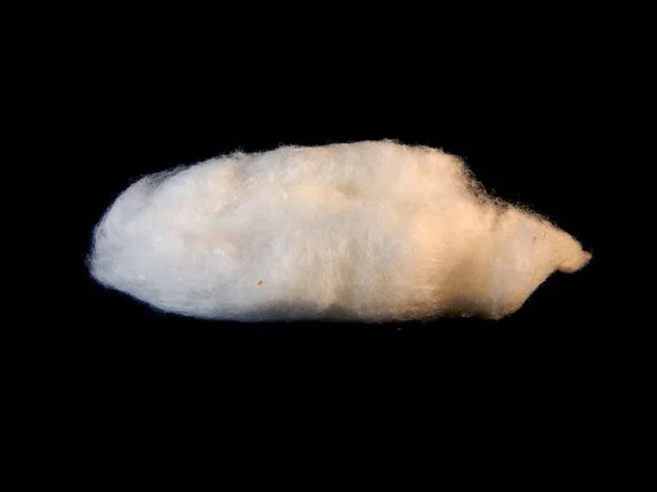 cotton wool isolated on black background