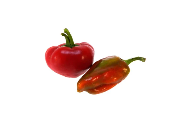 Bell pepper isolated on white background — Stock Photo, Image