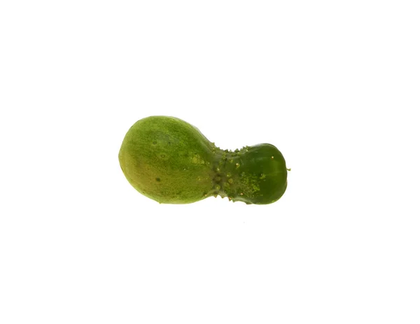 Pepino isolado no fundo branco — Fotografia de Stock