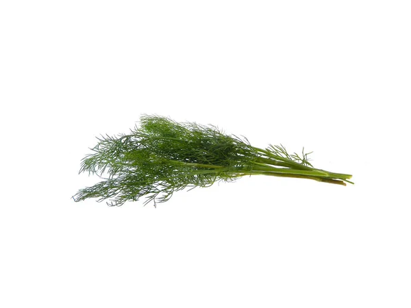 Dill isolado no fundo branco — Fotografia de Stock