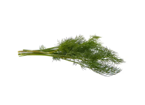 Dill isolado no fundo branco — Fotografia de Stock