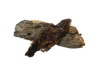 Beyaz arkaplanda ağaç kabuğu izole