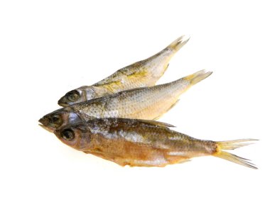 beyaz arkaplanda kuru balık