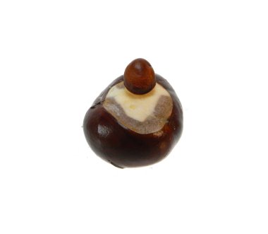 kestane rengi beyaz arkaplanda izole