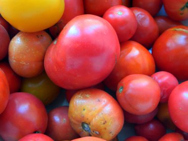 Beyaz arkaplanda izole edilmiş domates