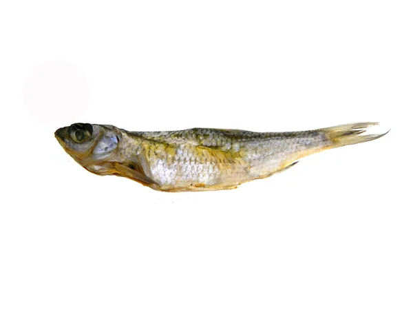 Suche ryby izolowane na białym tle — Zdjęcie stockowe