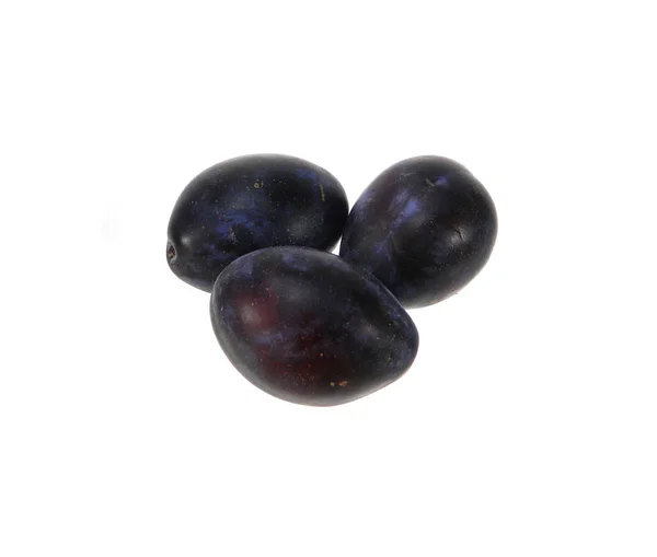 Plum diisolasi di latar belakang putih — Stok Foto