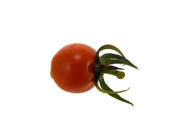 Tomate isoliert auf weißem Hintergrund — Stockfoto