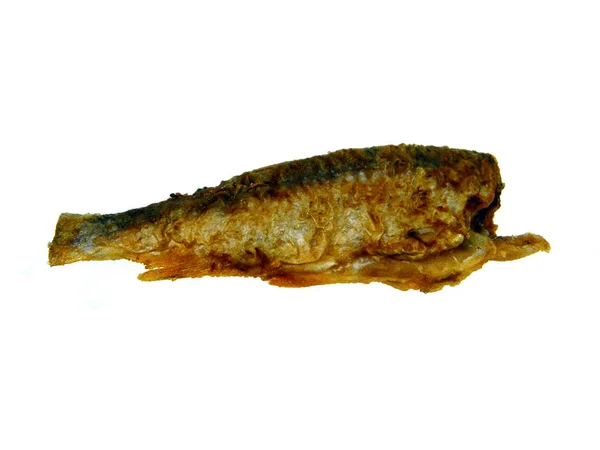 Stekt fisk isolerad på vit bakgrund — Stockfoto