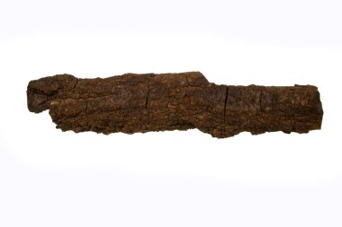 Beyaz arkaplanda ağaç kabuğu izole