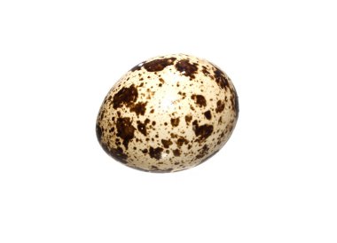 Beyaz arkaplanda yumurta izole