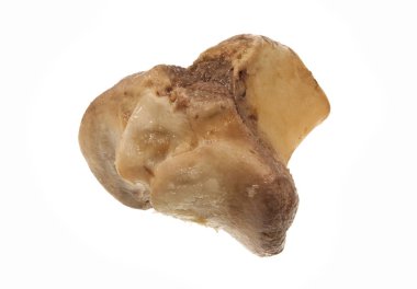 Beyaz arka plan üzerinde izole kemik