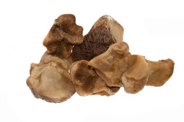 Beyaz arka plan üzerinde izole kemik