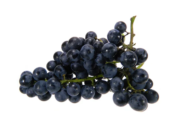 Виноград изолирован на белом фоне — стоковое фото